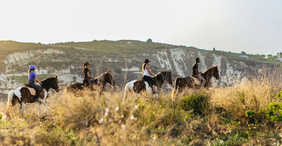 Heraklion: Horse Ride in the Cretan Mountains - Meeting the horses at Finikia Horse Riding Farm