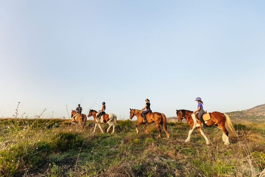 Heraklion: Horse Ride in the Cretan Mountains - The mountain stop for juice and photographs