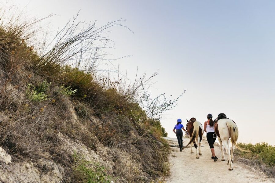 Heraklion: Horse Ride in the Cretan Mountains - The people make this feel personal