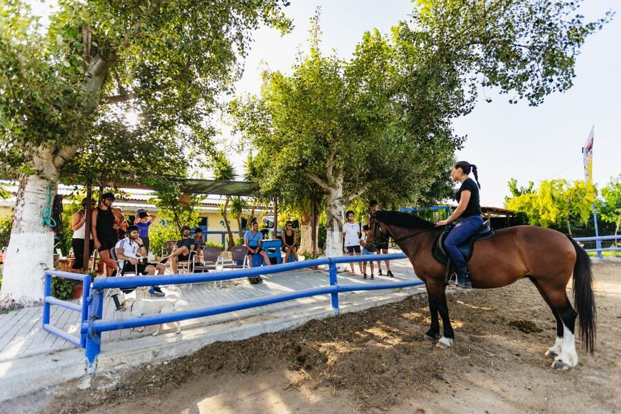Heraklion: Horse Ride in the Cretan Mountains - The first climb through Finikia’s hills
