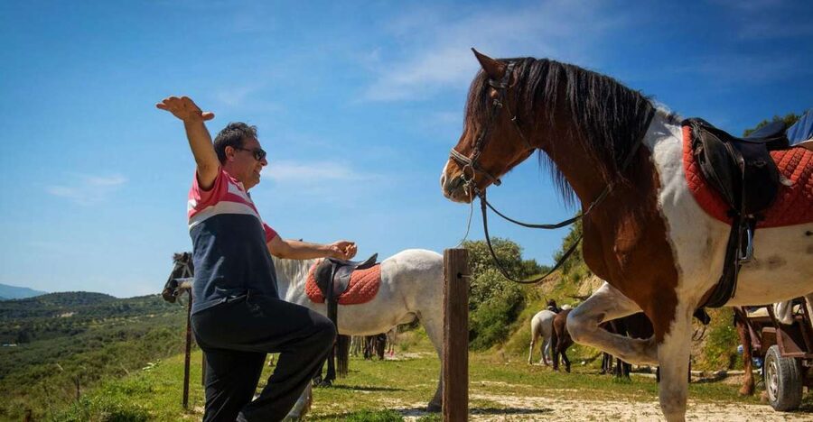 Heraklion: Horseriding Day Tour with Lunch and Transfer - Key points at a glance