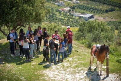 Horseriding Day Tour with Lunch and Transfer