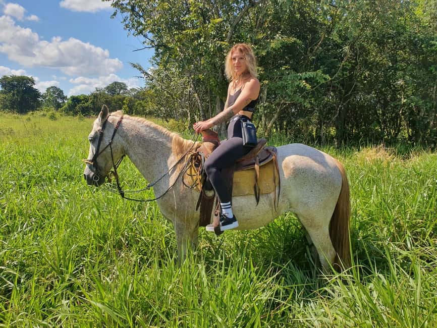 Holbox: Private Horseback Riding - What the 80-minute ride is really like
