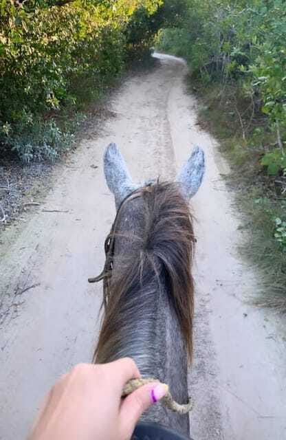 Holbox: Private Horseback Riding - How private group size affects the experience