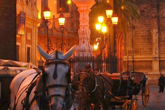 Horse and Buggy Ride in Seville with guide - Starting beside Seville’s old center at 10:00 a.m.