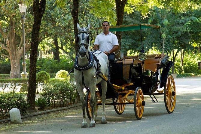 Horse and Buggy Ride in Seville with guide - The Alcazar and Cathedral from the outside