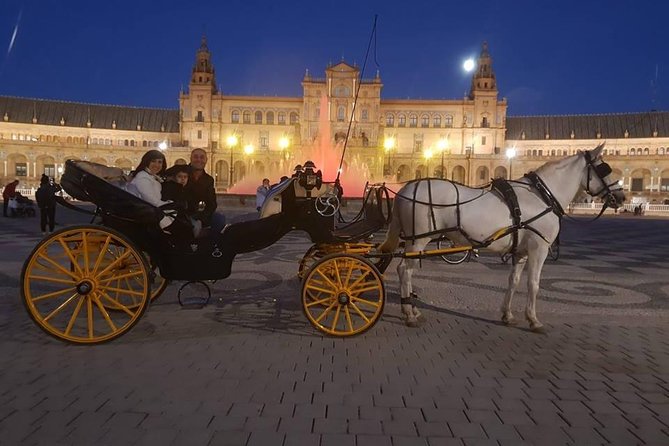Horse and Buggy Ride in Seville with guide - What the guide adds to the ride