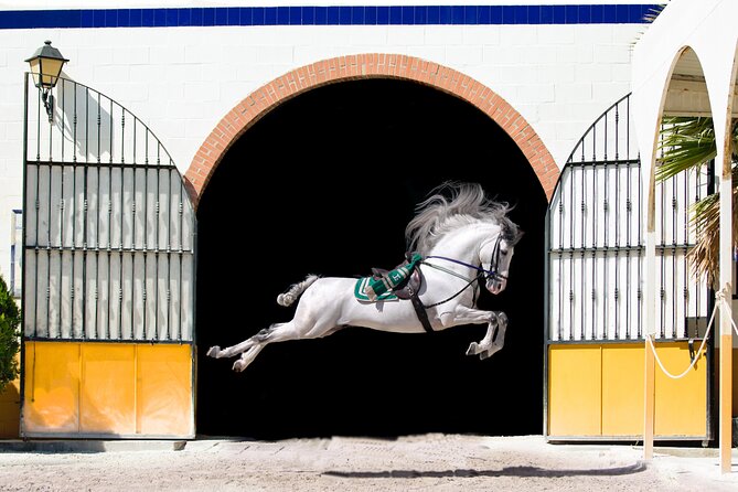 Horse and Flamenco Show in Malaga - Key points to know before you go