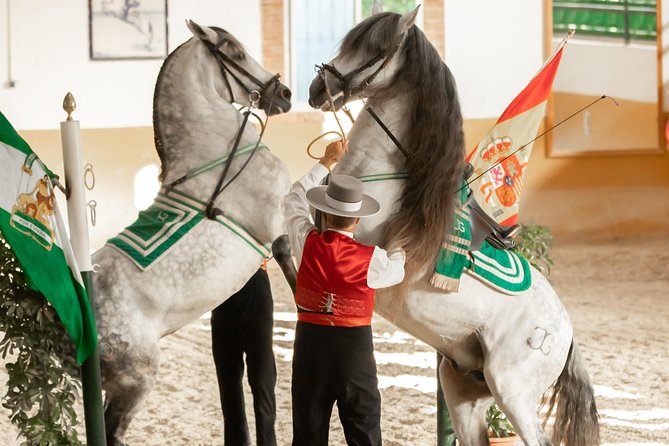 Horse and Flamenco Show in Malaga - Visiting the stables before the performance