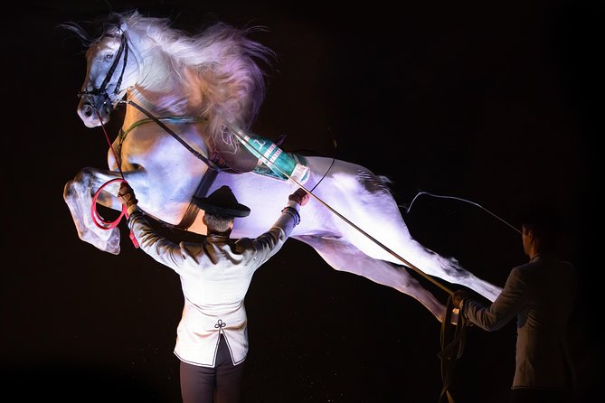 Horse and Flamenco Show in Malaga - How much flamenco should you expect?