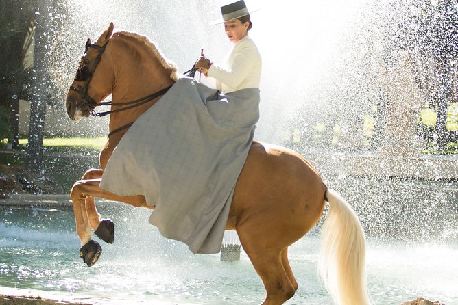 Horse and Flamenco Show in Malaga - The arena, seats, and atmosphere