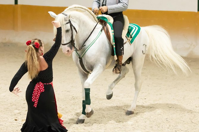 Horse and Flamenco Show in Malaga - Getting there and planning your visit