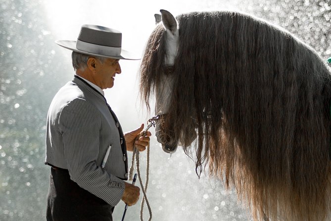 Horse and Flamenco Show in Malaga - Booking advice and cancellation terms