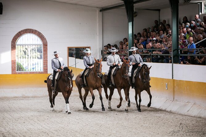 Horse and Flamenco Show in Malaga with Dinner - Arriving at Club Hípico El Ranchito before 5:45