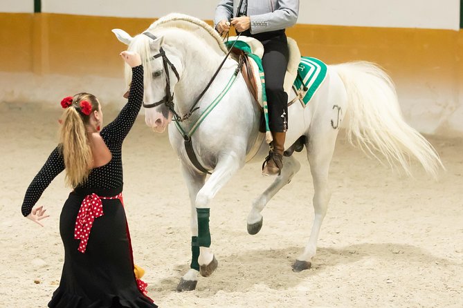 Horse and Flamenco Show in Malaga with Dinner - The five-kilometer transfer deserves planning
