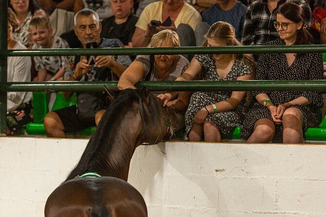 Horse and Flamenco Show in Malaga with Dinner - Dinner with Andalusian dishes and included drinks