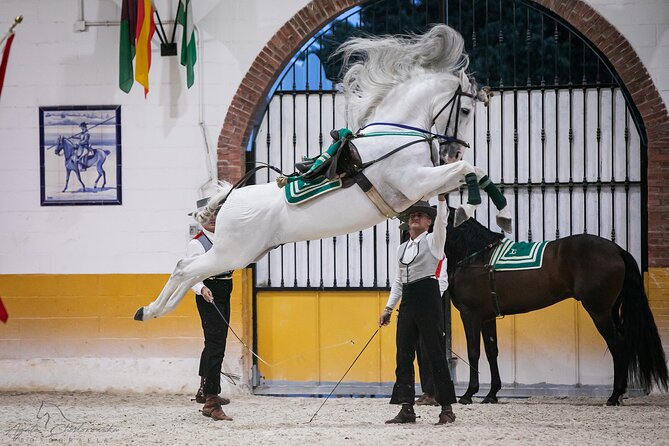 Horse and Flamenco Show in Malaga with Dinner - Who will get the most value from $86.57