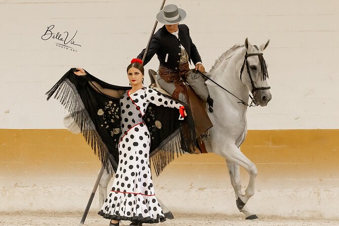 Horse and Flamenco Show in Malaga - The horses and riding make the strongest impression