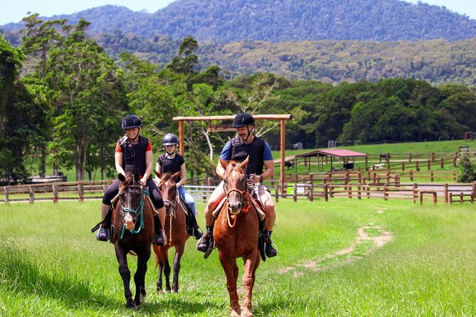 Horse and Quad bike tour with a visit to a Petting Zoo - Key Details at a Glance