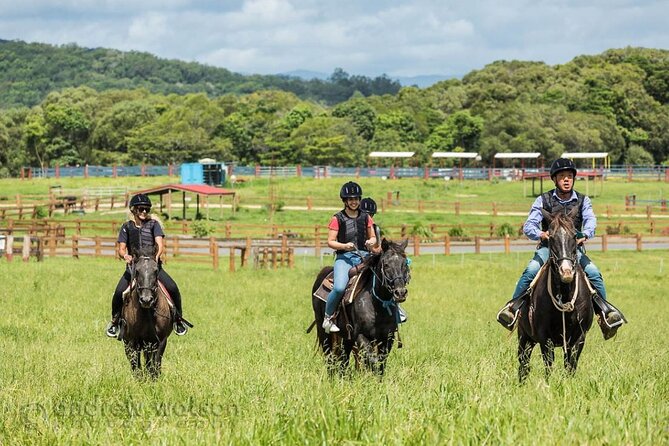 Horse and Quad bike tour with a visit to a Petting Zoo - Who Will Get the Most From This Activity