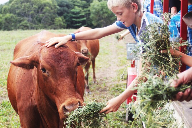 Horse and Quad bike tour with a visit to a Petting Zoo - Practical Details Before You Book