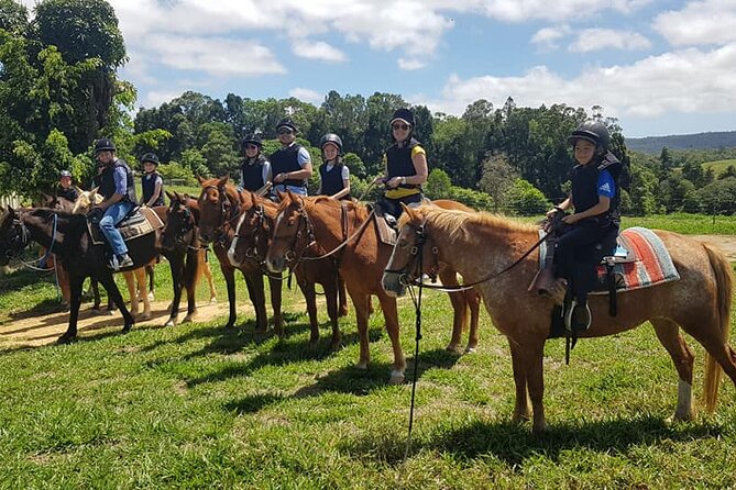 Horse and Quad bike tour with a visit to a Petting Zoo - The Ten-Minute Pause Before the Quad Bikes