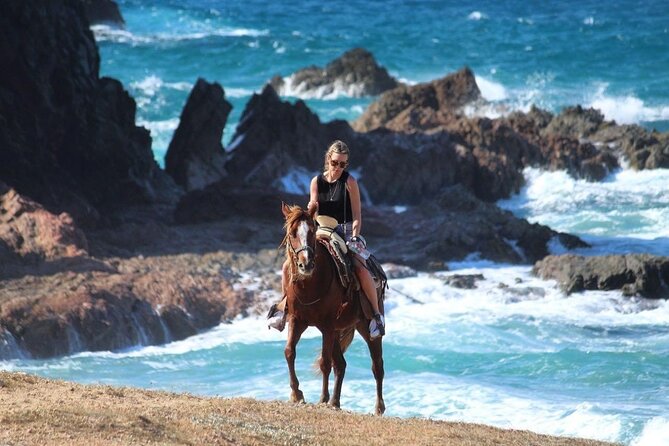 Horse Back Ridding Tour on the Pacific Ocean & Desert - From Cabo San Lucas to the Pacific Side