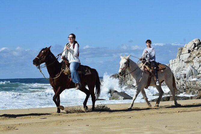 Horse Back Ridding Tour on the Pacific Ocean & Desert - Choosing the Right Horse and Pace