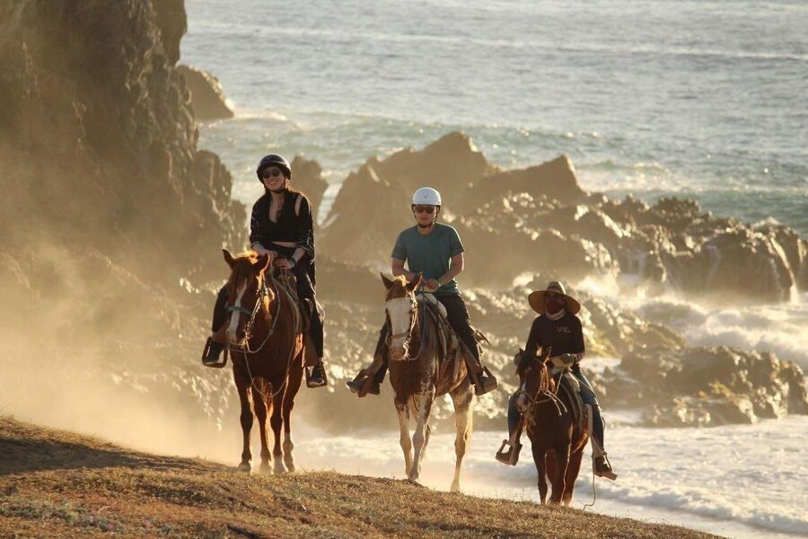 Horse Back Ridding Tour on the Pacific Ocean & Desert - Practical Tips Before You Book