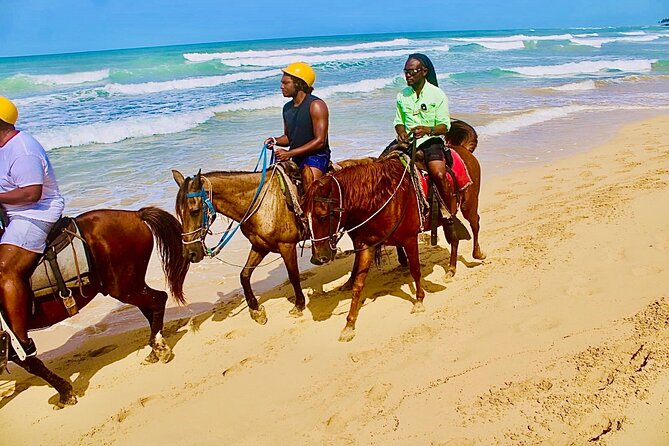 Horse Back Riding Adventure in Punta Cana - Meeting the horses at the Punta Cana ranch