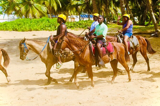 Horse Back Riding Adventure in Punta Cana - The long beach section at Macao Beach