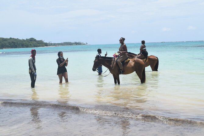 Horse Back Riding and Blue Hole From Montego Bay - From Montego Bay toward Rio Bueno