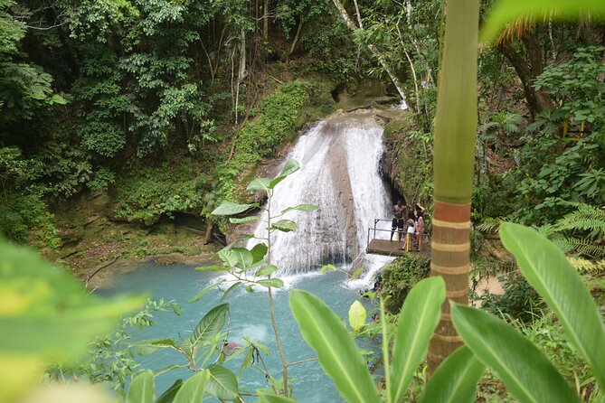 Horse Back Riding and Blue Hole From Montego Bay - Timing, weather, and booking details