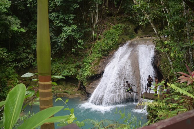 Horse Back Riding and Blue Hole From Montego Bay - Horseback riding from forest to shore