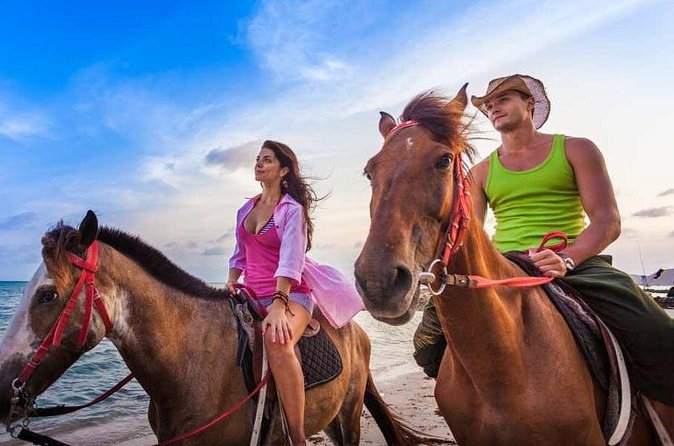 Horse Back riding Excursion - Is $95 a fair price?