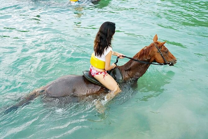 Horse Back riding Excursion - A narrated rainforest trail in Mammee Bay