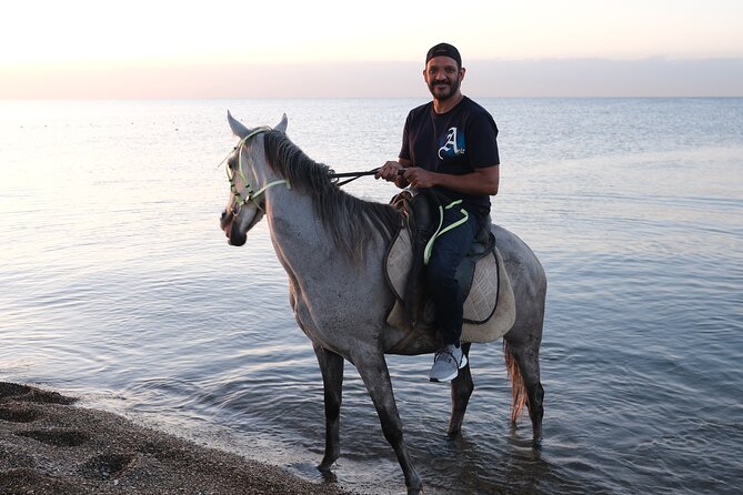 Horse back Riding in Antalya - Through the forest before the sea