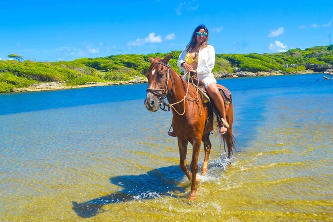 Horse back riding (Punta Cana/Bavaro) - On horseback through woods and open country