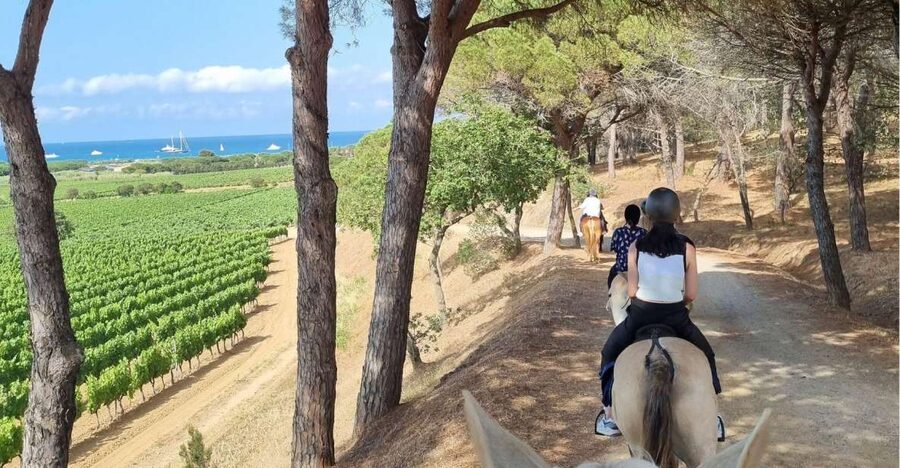 Horse back riding + wine tasting in Ramatuelle - Key points to know before you book