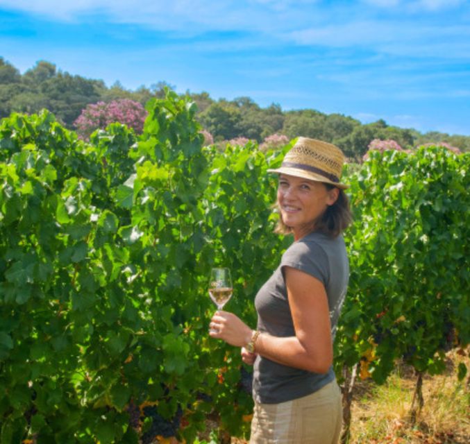 Horse back riding + wine tasting in Ramatuelle - Why this Ramatuelle ride feels different