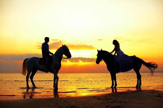 Horse & Camel Riding Experience in Hurghada - One hour on horseback through desert or sea