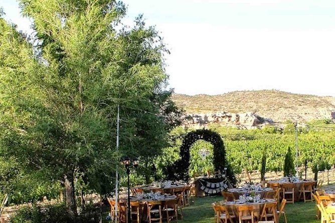 Horse Country Estate and Vineyard Wine Tasting Tour - Key Points at a Glance