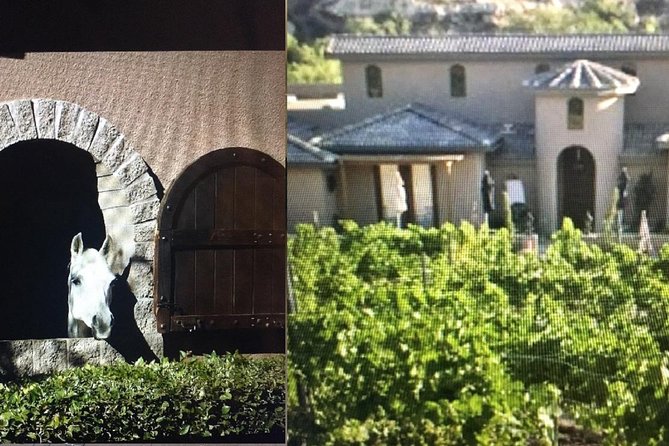 Horse Country Estate and Vineyard Wine Tasting Tour - Meeting the Horses at a Private Estate