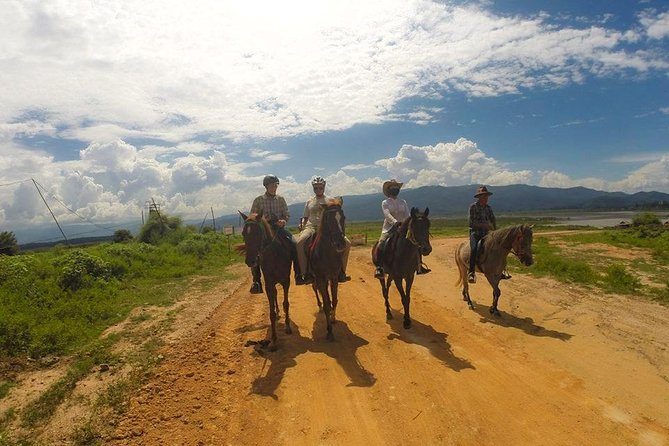 Horse Lesson+Riding+Wat Tonkwen wooden temple.Chiangmai - Meeting the horses at the park