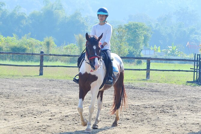 Horse Lesson+Riding+Wat Tonkwen wooden temple.Chiangmai - What the strongest feedback tells you