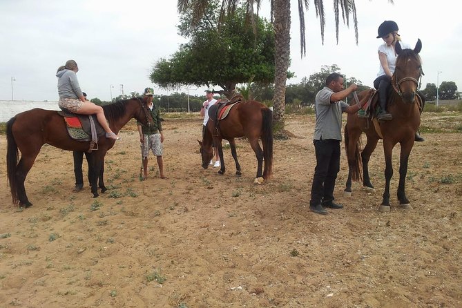 Horse Ride at the Marrakech Desert - Key points at a glance