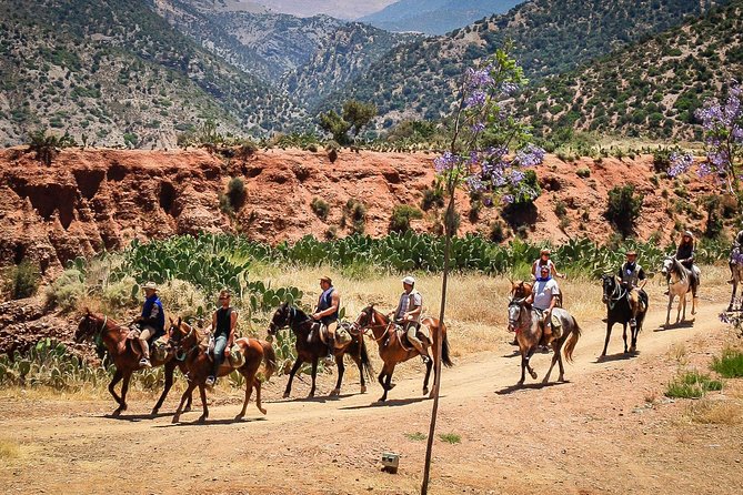 Horse Ride at the Marrakech Desert - Leaving Marrakech for the palm groves