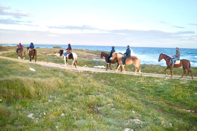 Horse ride in a Salento Nature Reserve with transfer from Lecce - From Porta Napoli to the Salento coast