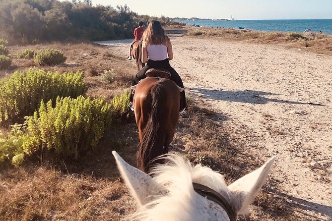 Horse ride in a Salento Nature Reserve with transfer from Lecce - Returning to Lecce after the ride