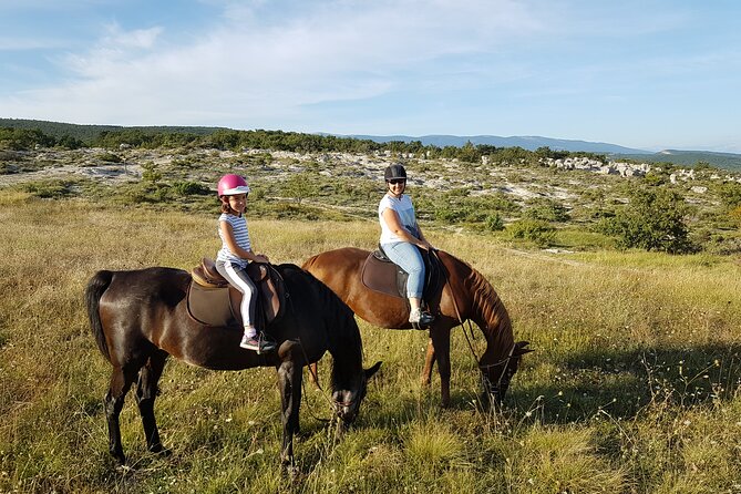Horse ride in Haute Provence Luberon and Forcalquier - Meeting the horses before the trail